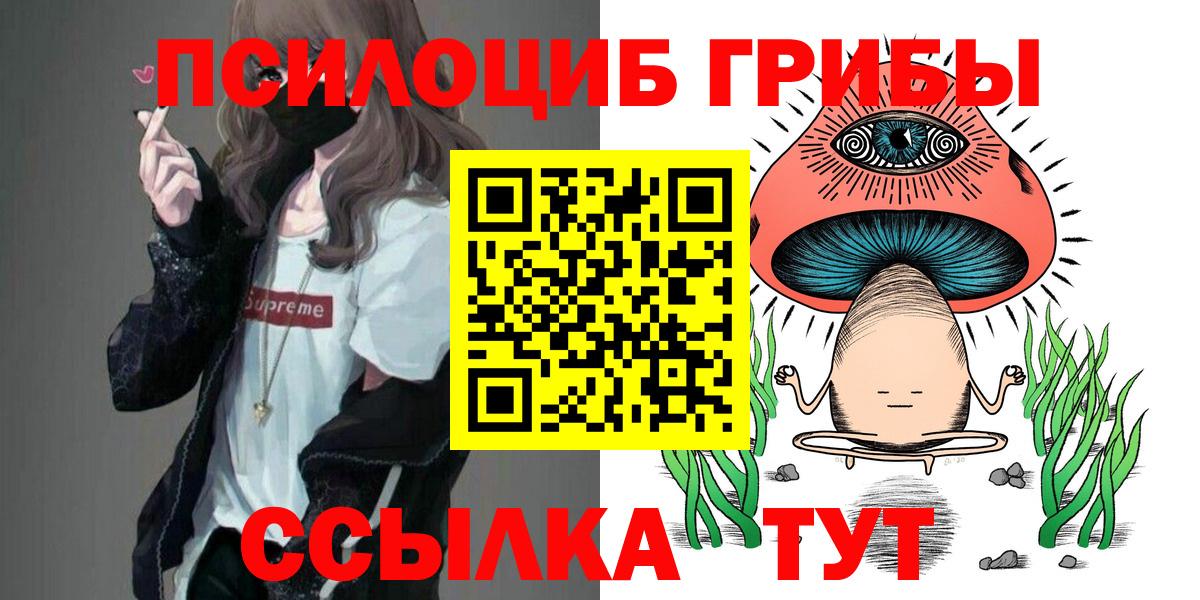 Псилоцибиновые грибы Magic Shrooms  Вход с VPN  Галлюциногенные грибы мицелий  где найти наркотики  Каменка 