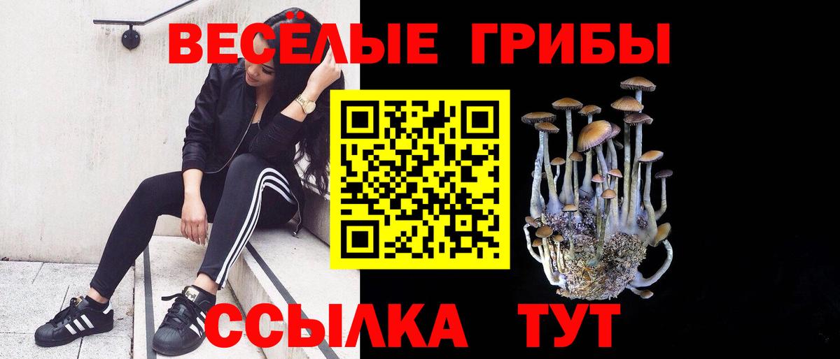 Псилоцибиновые грибы мицелий Каменка